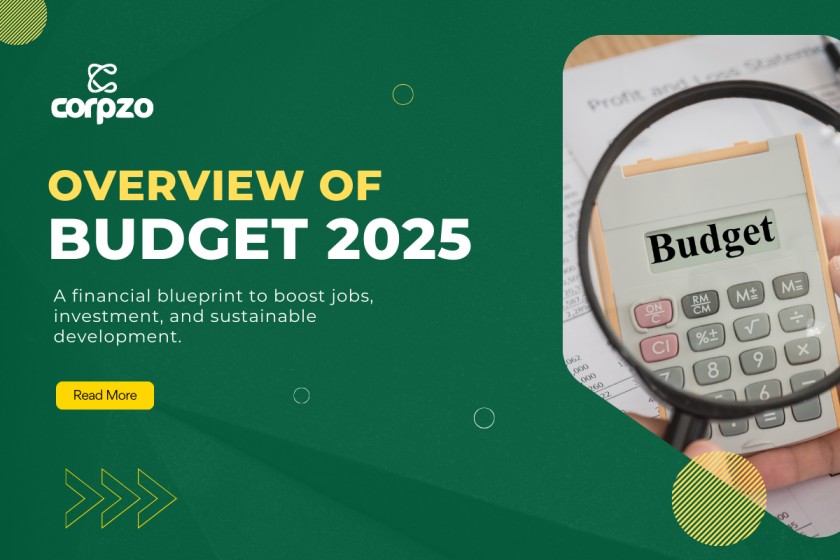 Overview Of Budget 2025