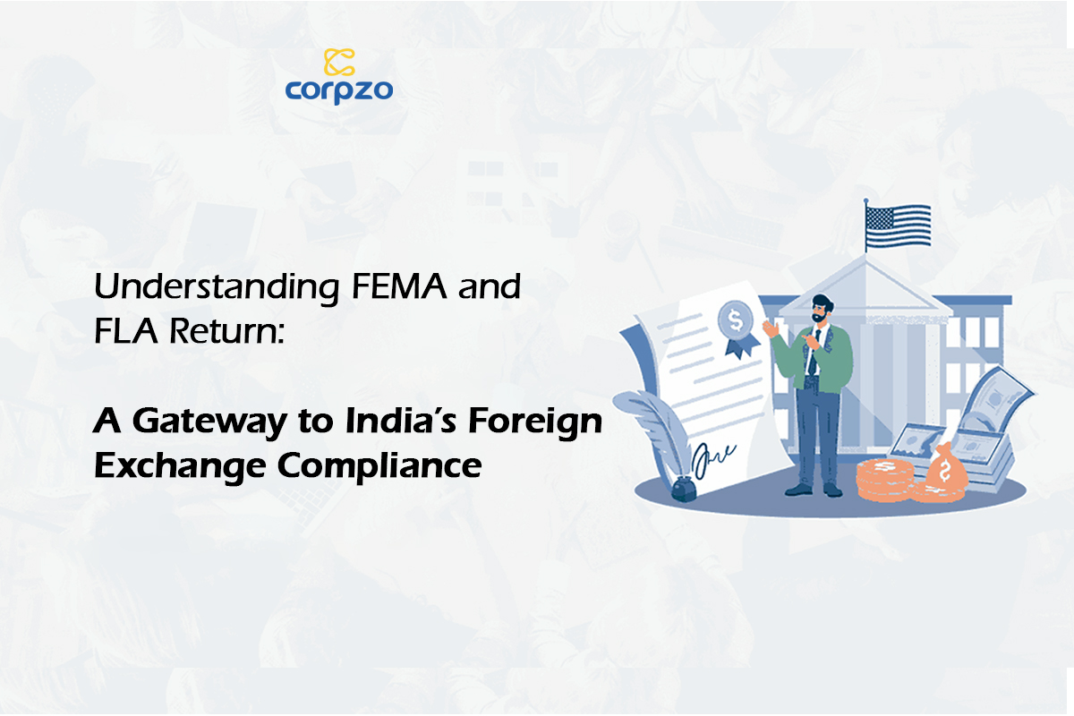 Understanding FEMA and FLA Return: A Gateway to Indias Foreign Exchange Compliance