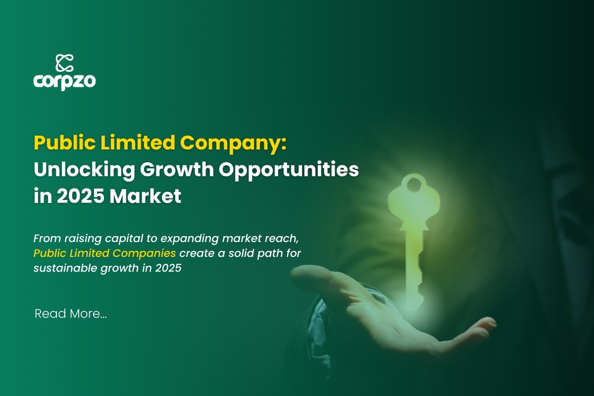 Public Limited Company: Unlocking Growth Opportunities in 2025 Market
